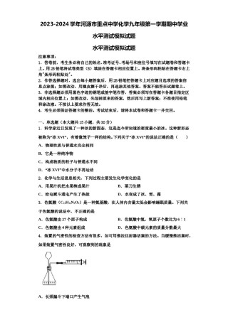 2023-2024学年河源市重点中学化学九年级第一学期期中学业水平测试模拟试题含解析.doc