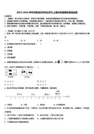 2023-2024学年河西成功学校化学九上期末质量跟踪监视试题含解析.doc