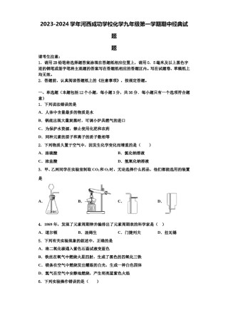 2023-2024学年河西成功学校化学九年级第一学期期中经典试题含解析.doc