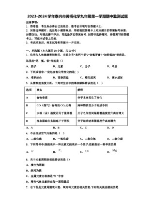 2023-2024学年泰兴市黄桥化学九年级第一学期期中监测试题含解析.doc