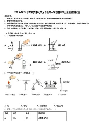 2023-2024学年泰安市化学九年级第一学期期末学业质量监测试题含解析.doc