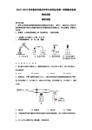 2023-2024学年泰安市重点中学九年级化学第一学期期中监测模拟试题含解析.doc