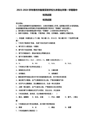 2023-2024学年泰州市智堡实验学校九年级化学第一学期期中检测试题含解析.doc