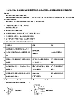 2023-2024学年泰州市智堡实验学校九年级化学第一学期期末质量跟踪监视试题含解析.doc