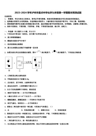 2023-2024学年泸州市重点中学化学九年级第一学期期末预测试题含解析.doc