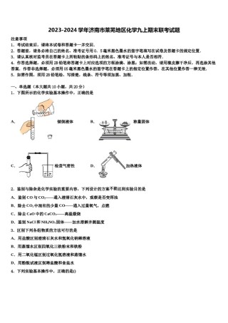 2023-2024学年济南市莱芜地区化学九上期末联考试题含解析.doc