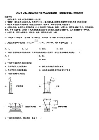 2023-2024学年浙江东阳九年级化学第一学期期末复习检测试题含解析.doc