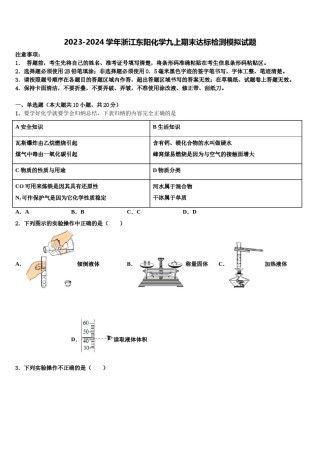 2023-2024学年浙江东阳化学九上期末达标检测模拟试题含解析.doc
