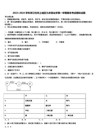 2023-2024学年浙江杭州上城区九年级化学第一学期期末考试模拟试题含解析.doc