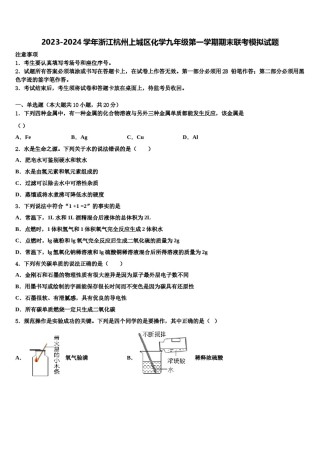 2023-2024学年浙江杭州上城区化学九年级第一学期期末联考模拟试题含解析.doc