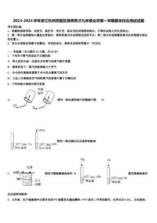 2023-2024学年浙江杭州拱墅区锦绣育才九年级化学第一学期期末综合测试试题含解析.doc