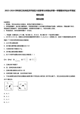 2023-2024学年浙江杭州经济开发区六校联考九年级化学第一学期期末学业水平测试模拟试题含解析.doc
