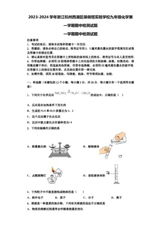 2023-2024学年浙江杭州西湖区保俶塔实验学校九年级化学第一学期期中检测试题含解析.doc