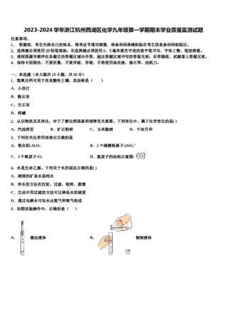 2023-2024学年浙江杭州西湖区化学九年级第一学期期末学业质量监测试题含解析.doc