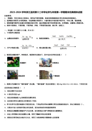 2023-2024学年浙江温州第十二中学化学九年级第一学期期末经典模拟试题含解析.doc
