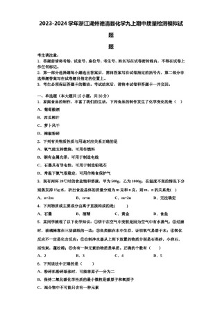 2023-2024学年浙江湖州德清县化学九上期中质量检测模拟试题含解析.doc