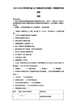 2023-2024学年浙江省Q21联盟化学九年级第一学期期中考试试题含解析.doc