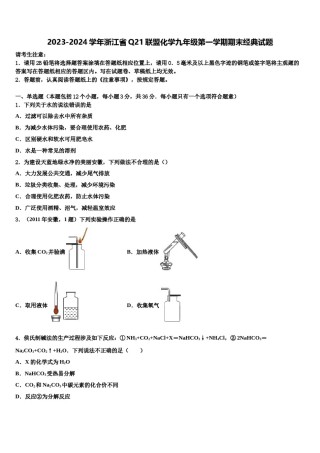 2023-2024学年浙江省Q21联盟化学九年级第一学期期末经典试题含解析.doc
