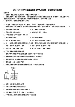 2023-2024学年浙江省丽水化学九年级第一学期期末预测试题含解析.doc