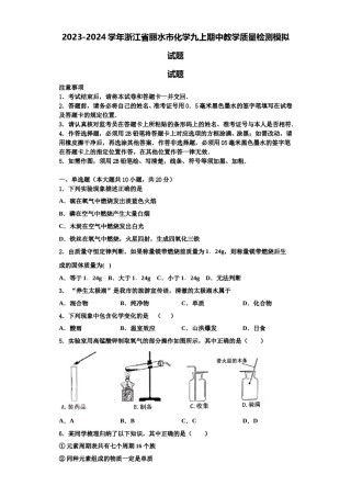 2023-2024学年浙江省丽水市化学九上期中教学质量检测模拟试题含解析.doc