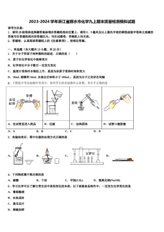 2023-2024学年浙江省丽水市化学九上期末质量检测模拟试题含解析.doc