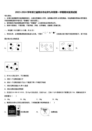 2023-2024学年浙江省丽水市化学九年级第一学期期末监测试题含解析.doc