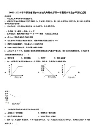 2023-2024学年浙江省丽水市名校九年级化学第一学期期末学业水平测试试题含解析.doc