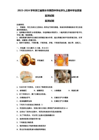 2023-2024学年浙江省丽水市第四中学化学九上期中学业质量监测试题含解析.doc