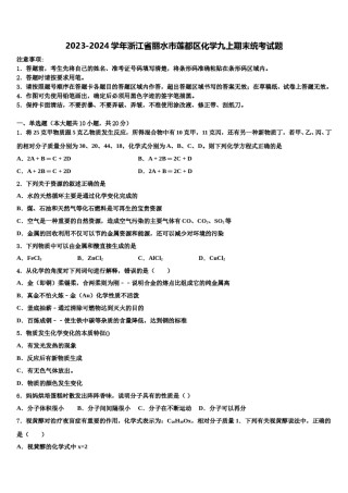 2023-2024学年浙江省丽水市莲都区化学九上期末统考试题含解析.doc