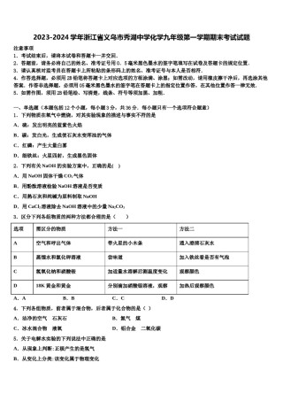 2023-2024学年浙江省义乌市秀湖中学化学九年级第一学期期末考试试题含解析.doc