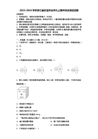 2023-2024学年浙江省乐清市化学九上期中综合测试试题含解析.doc