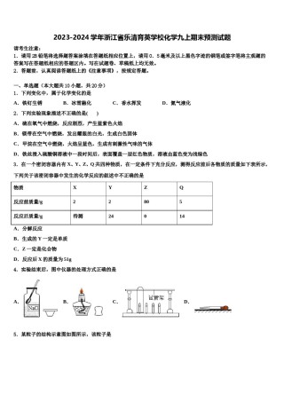 2023-2024学年浙江省乐清育英学校化学九上期末预测试题含解析.doc