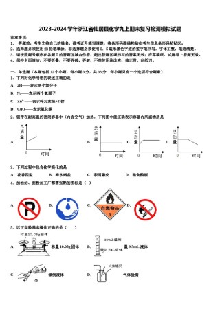 2023-2024学年浙江省仙居县化学九上期末复习检测模拟试题含解析.doc