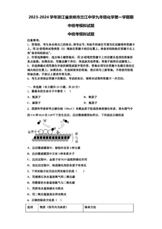 2023-2024学年浙江省余姚市兰江中学九年级化学第一学期期中统考模拟试题含解析.doc