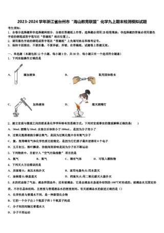 2023-2024学年浙江省台州市“海山教育联盟”化学九上期末检测模拟试题含解析.doc