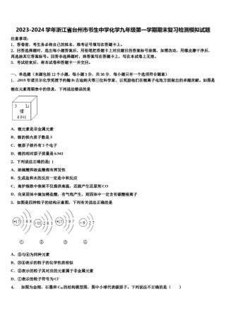 2023-2024学年浙江省台州市书生中学化学九年级第一学期期末复习检测模拟试题含解析.doc