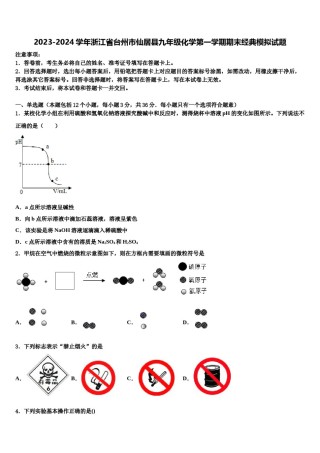 2023-2024学年浙江省台州市仙居县九年级化学第一学期期末经典模拟试题含解析.doc