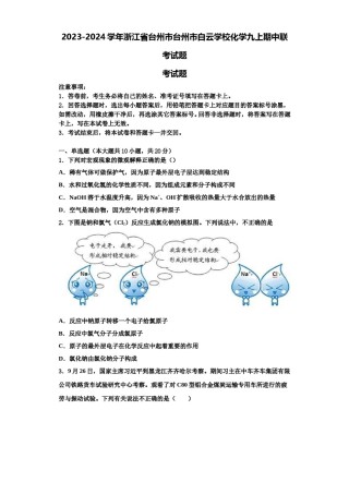 2023-2024学年浙江省台州市台州市白云学校化学九上期中联考试题含解析.doc