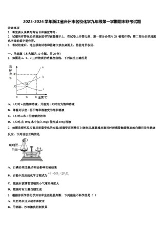 2023-2024学年浙江省台州市名校化学九年级第一学期期末联考试题含解析.doc