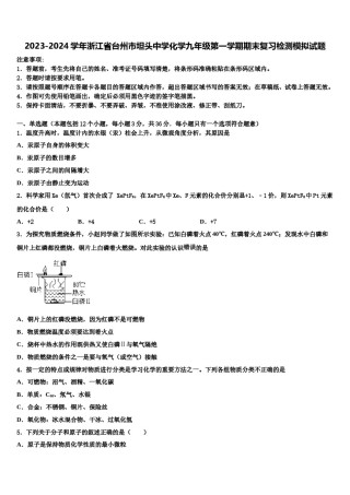 2023-2024学年浙江省台州市坦头中学化学九年级第一学期期末复习检测模拟试题含解析.doc