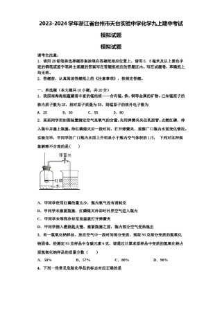 2023-2024学年浙江省台州市天台实验中学化学九上期中考试模拟试题含解析.doc