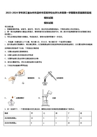 2023-2024学年浙江省台州市温岭市实验学校化学九年级第一学期期末质量跟踪监视模拟试题含解析.doc