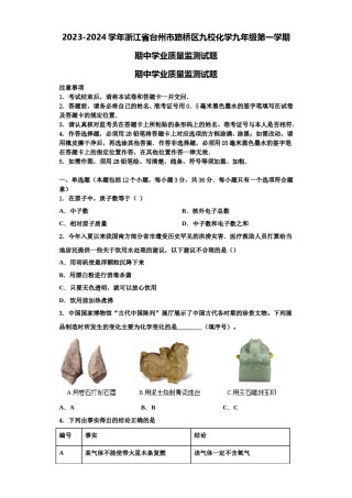 2023-2024学年浙江省台州市路桥区九校化学九年级第一学期期中学业质量监测试题含解析.doc