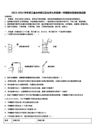 2023-2024学年浙江省台州椒江区化学九年级第一学期期末质量检测试题含解析.doc