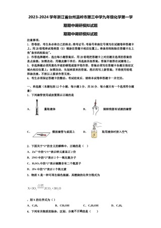 2023-2024学年浙江省台州温岭市第三中学九年级化学第一学期期中调研模拟试题含解析.doc