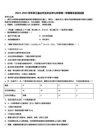 2023-2024学年浙江省台州玉环化学九年级第一学期期末监测试题含解析.doc