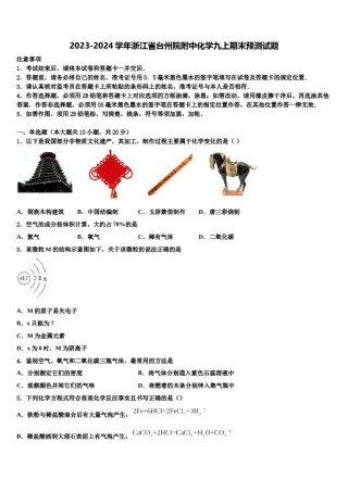 2023-2024学年浙江省台州院附中化学九上期末预测试题含解析.doc