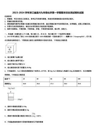 2023-2024学年浙江省嘉兴九年级化学第一学期期末综合测试模拟试题含解析.doc