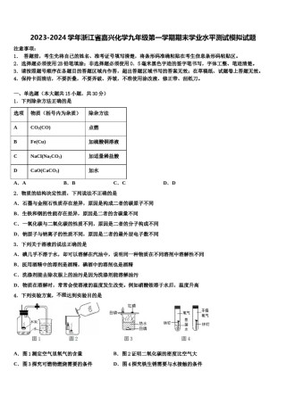 2023-2024学年浙江省嘉兴化学九年级第一学期期末学业水平测试模拟试题含解析.doc