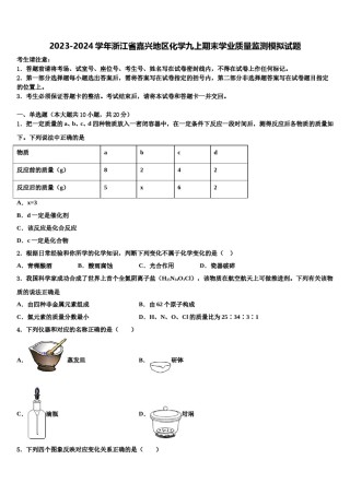 2023-2024学年浙江省嘉兴地区化学九上期末学业质量监测模拟试题含解析.doc